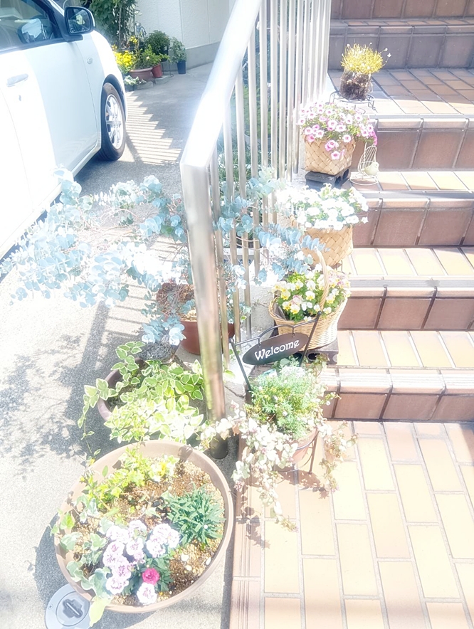 教会入口花壇